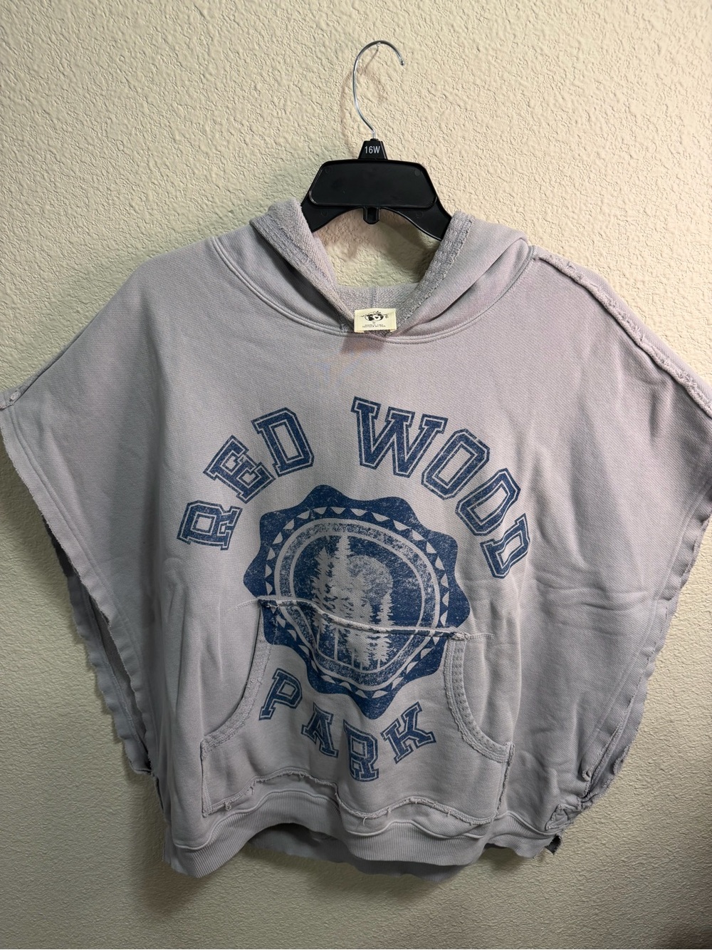 We The Free Grey Hooded Pullover with Blue Graphic